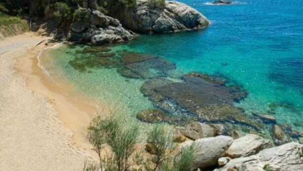 House | View from property - Holiday Home in Catalonia Near Cala Pedrosa Beach (Palafrugell)