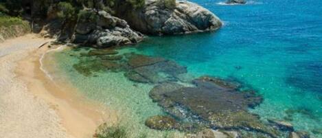 House | View from property