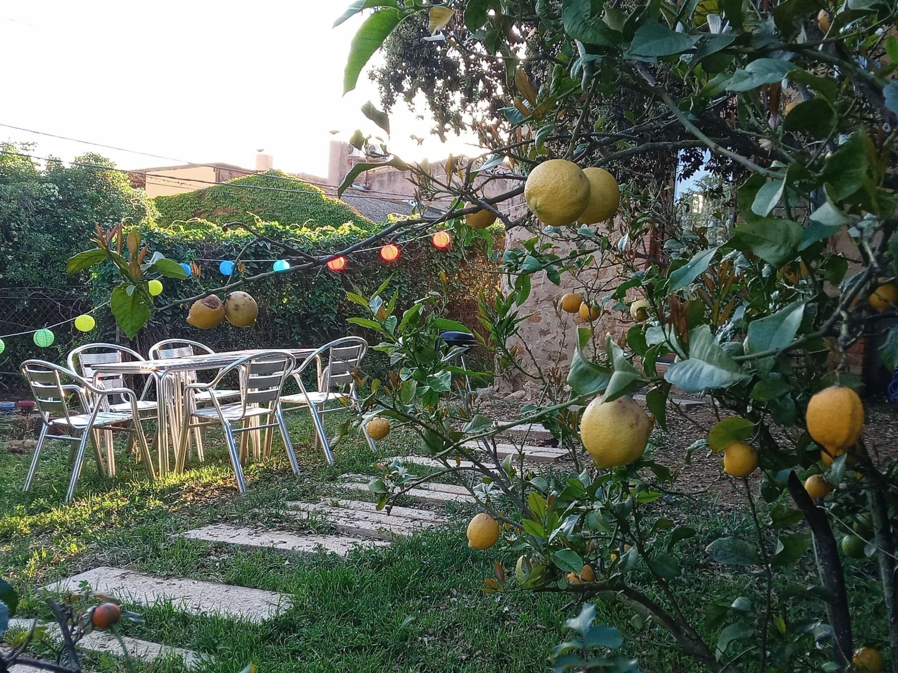 Casa | Jardim