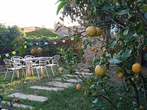 Maison | Jardin