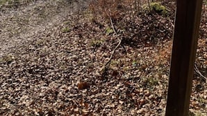 A signpost with directional arrows and symbols indicating hiking trails. - Deimann Modern Retreat (Schmallenberg)