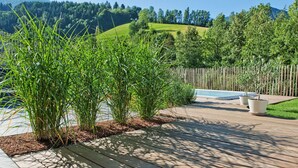 Um deck de madeira com piscina, cercado por vegetação exuberante e um muro de madeira.