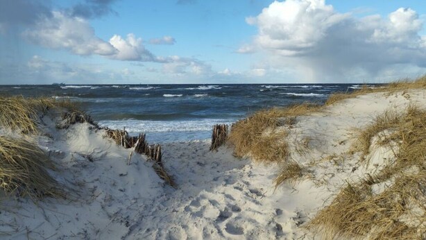 Strand