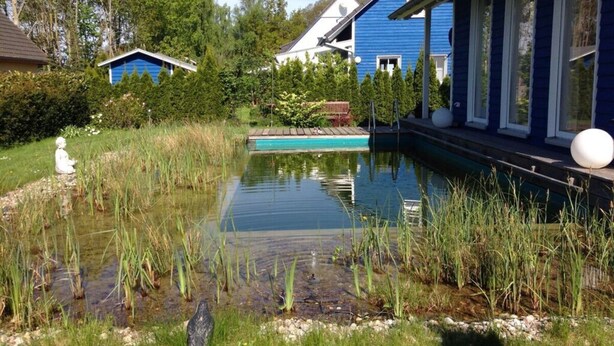 Ein Wohngebiet mit einem Schwimmbad, umgeben von hohem Gras und Bäumen.