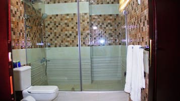 Shower, towels, soap, toilet paper