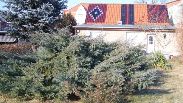 A house with a red roof and a white door. - A. Heyne Modern Retreat (Weinboehla)