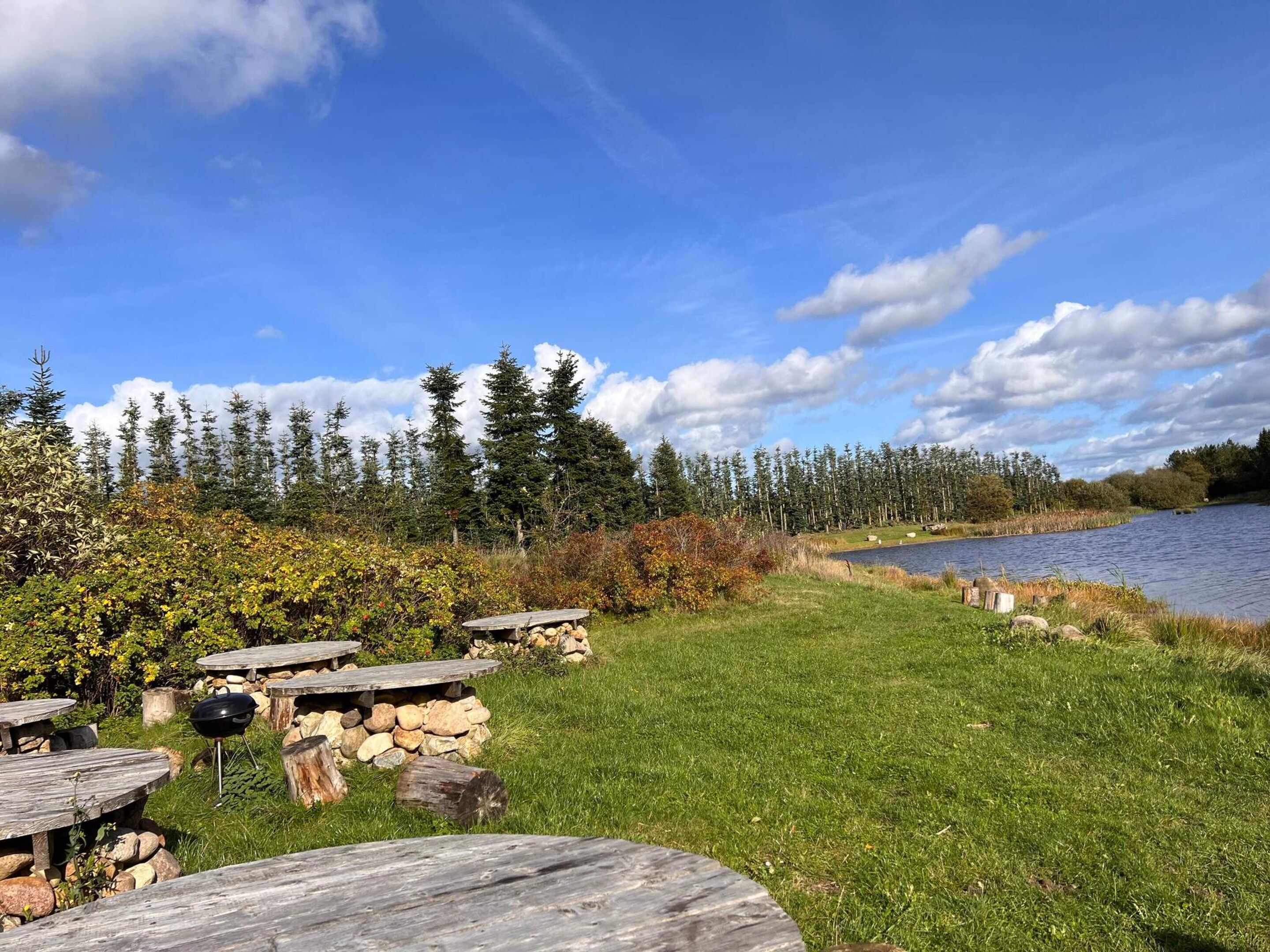 Un espacio al aire libre junto al lago con mesas de picnic y una parrilla, rodeado de árboles y un cielo despejado.