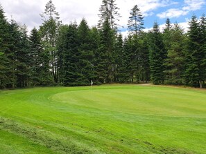 A golf course with a well-maintained green, surrounded by tall trees and a clear sky. - 6 Person Holiday Home in Skals (Skals)