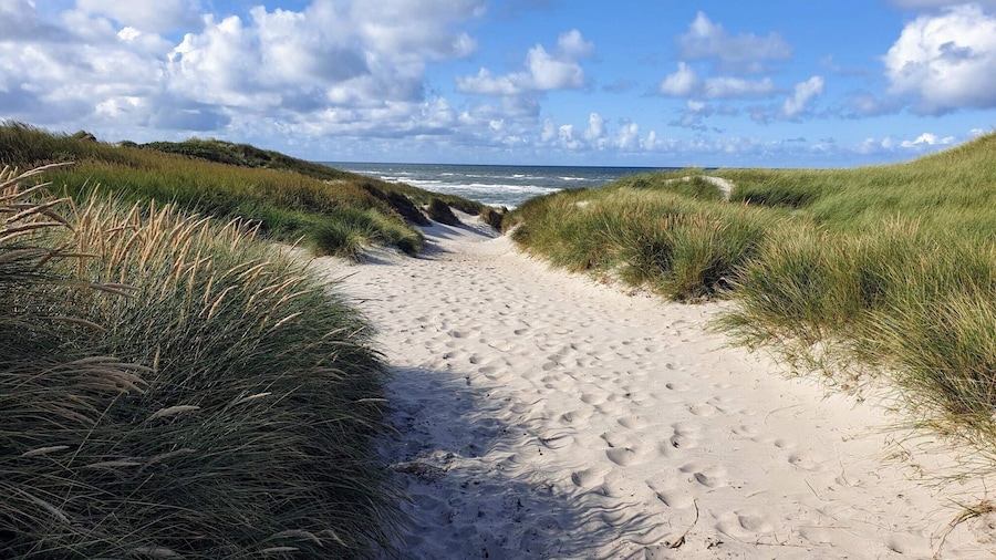 6 Person Holiday Home in Skals