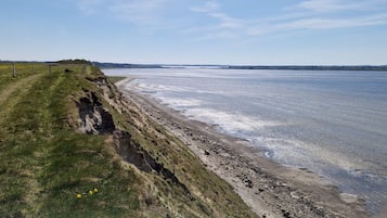 Un paisaje costero con un sendero cubierto de hierba que conduce a una playa de arena.