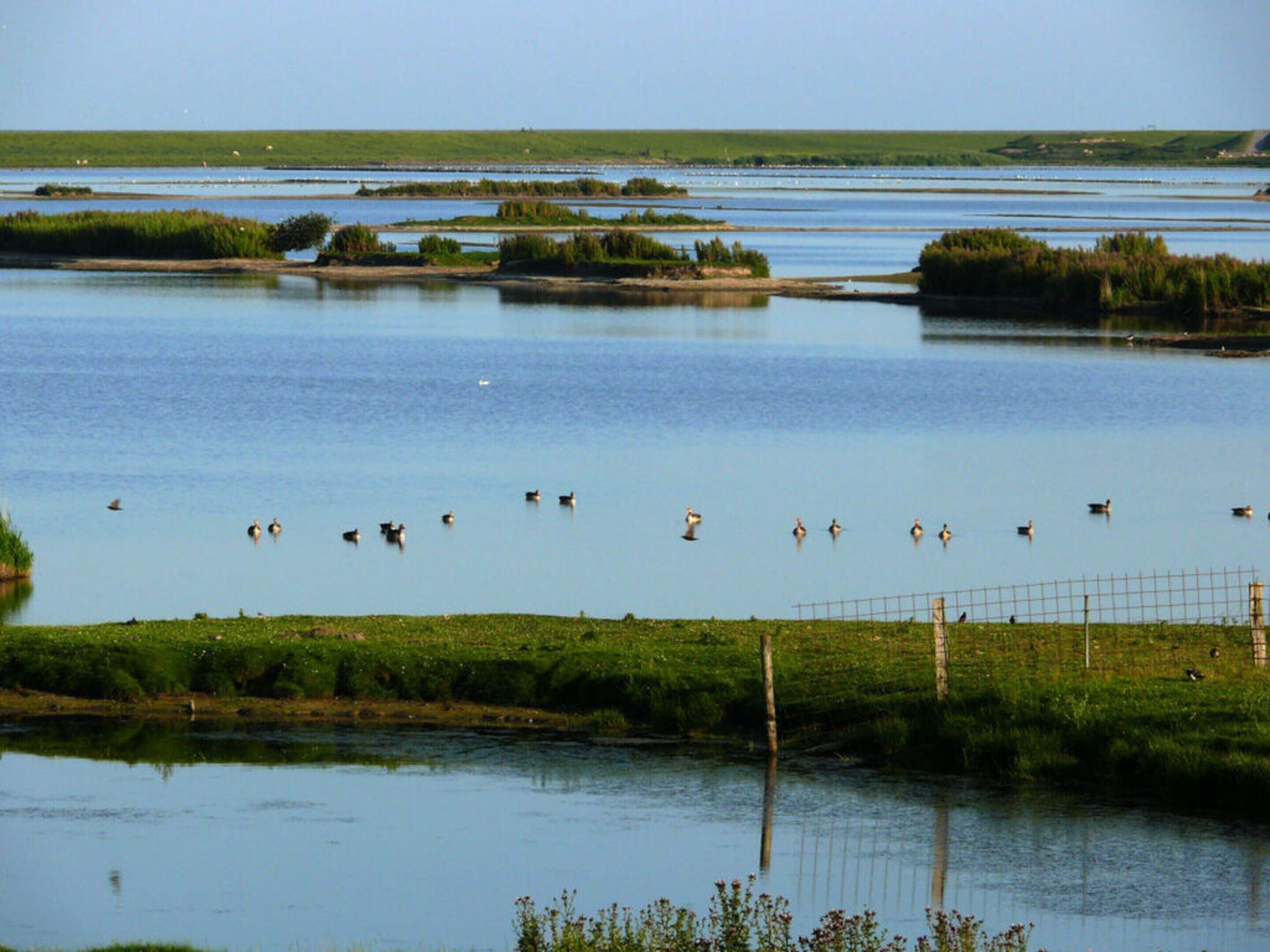 A large body of water with several small islands and a grassy shoreline.
