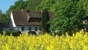 Exterior - Apartment in Lancken-granitz (Lancken-Granitz)