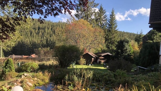 A serene garden with a pond, surrounded by trees and a small building. - Kassler Comfortable Holiday Residence (Feldberg)