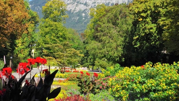 Paisagem montanhosa com diversas flores e árvores coloridas em primeiro plano.