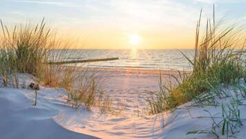 Vista desde la propiedad