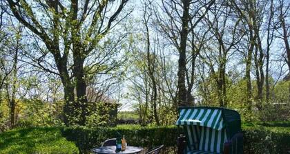 Island Suite Amrum Comfortable Holiday Residence
