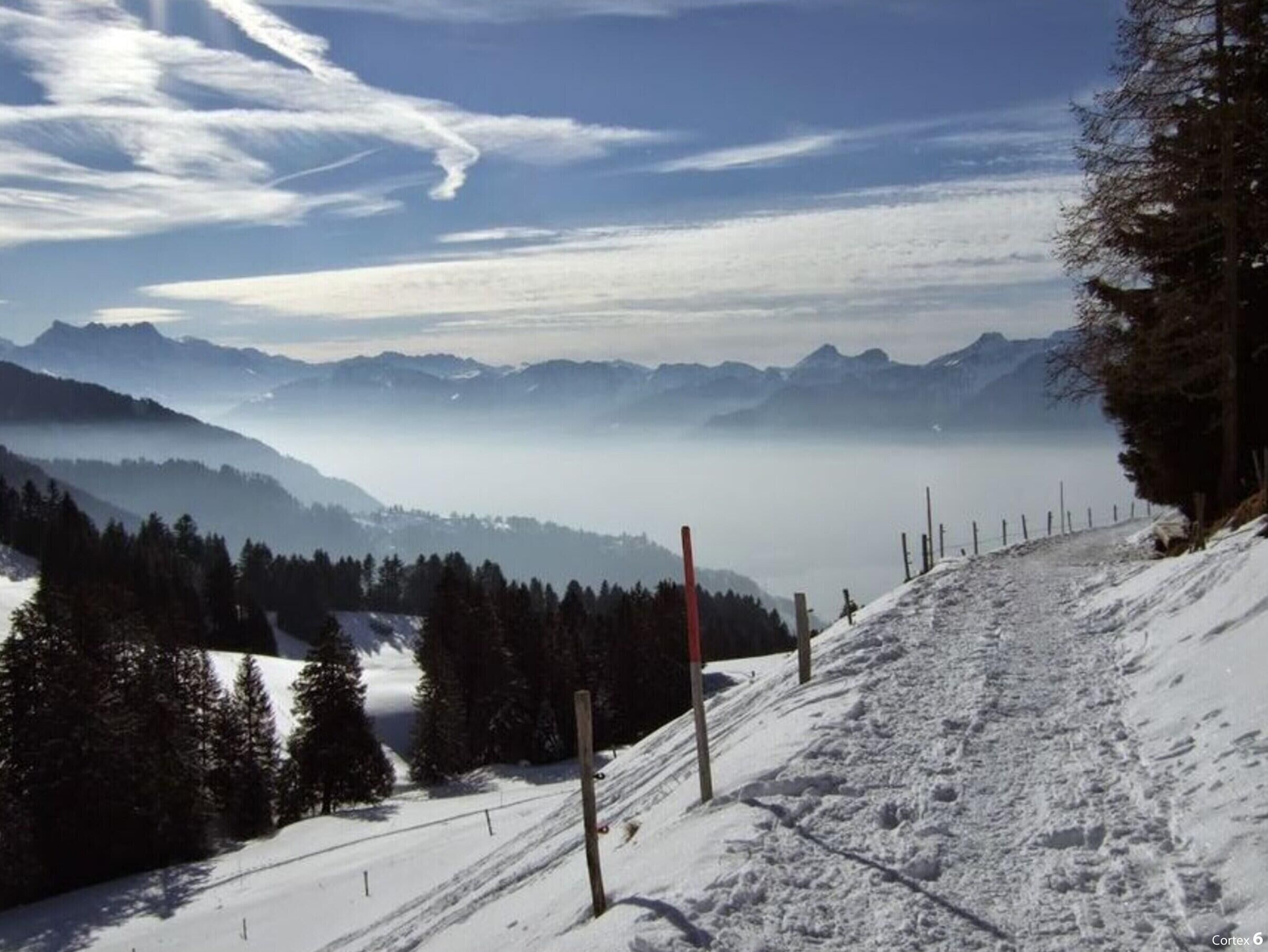 A snow-covered ski slope with a clear view of distant mountains and a forested area.