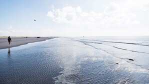Leilighet | Utsikt fra overnattingsstedet