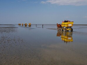 A group of yellow horse-drawn carriages on a calm, reflective water surface. - Holiday Oasis Minten (Cuxhaven)