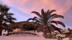 Un quartier résidentiel situé sur la côte, avec des palmiers et des maisons.