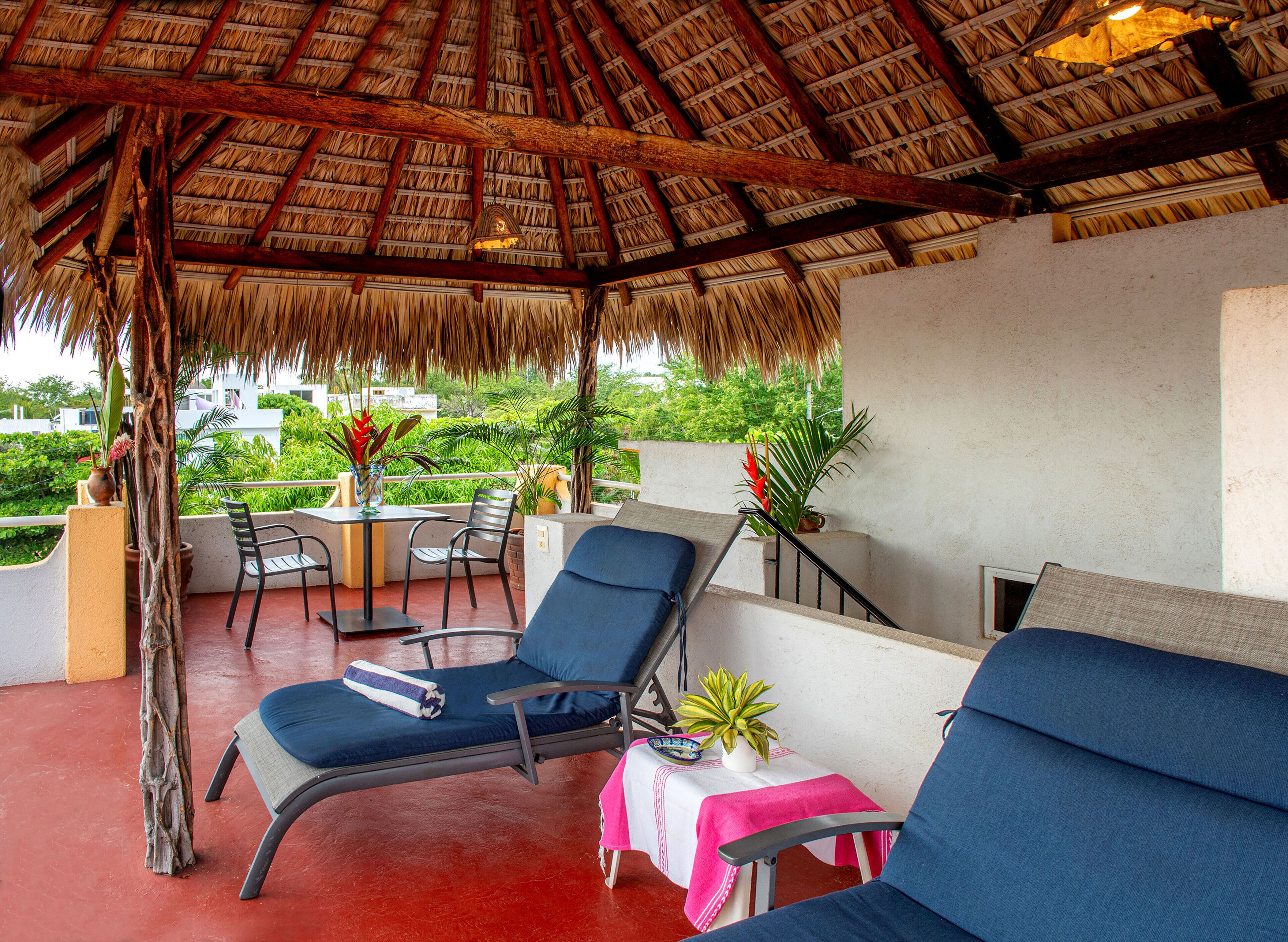 Foto - Hotel Zandoyo Bed & Breakfast