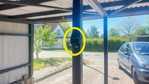 Un espace de stationnement couvert où une voiture est garée.