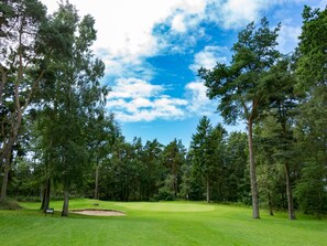A golf course with a putting green, sand bunkers, and tall trees.