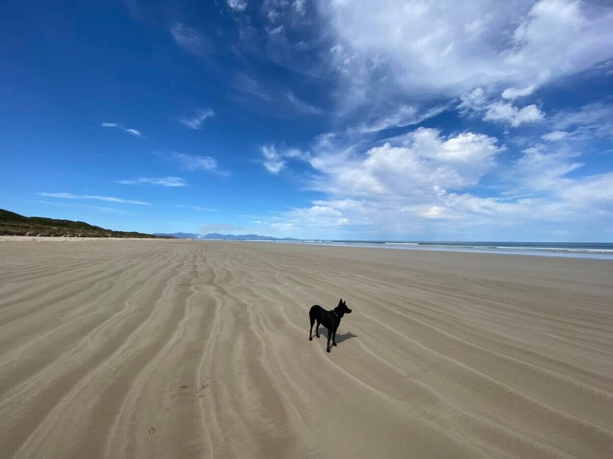 Beach nearby