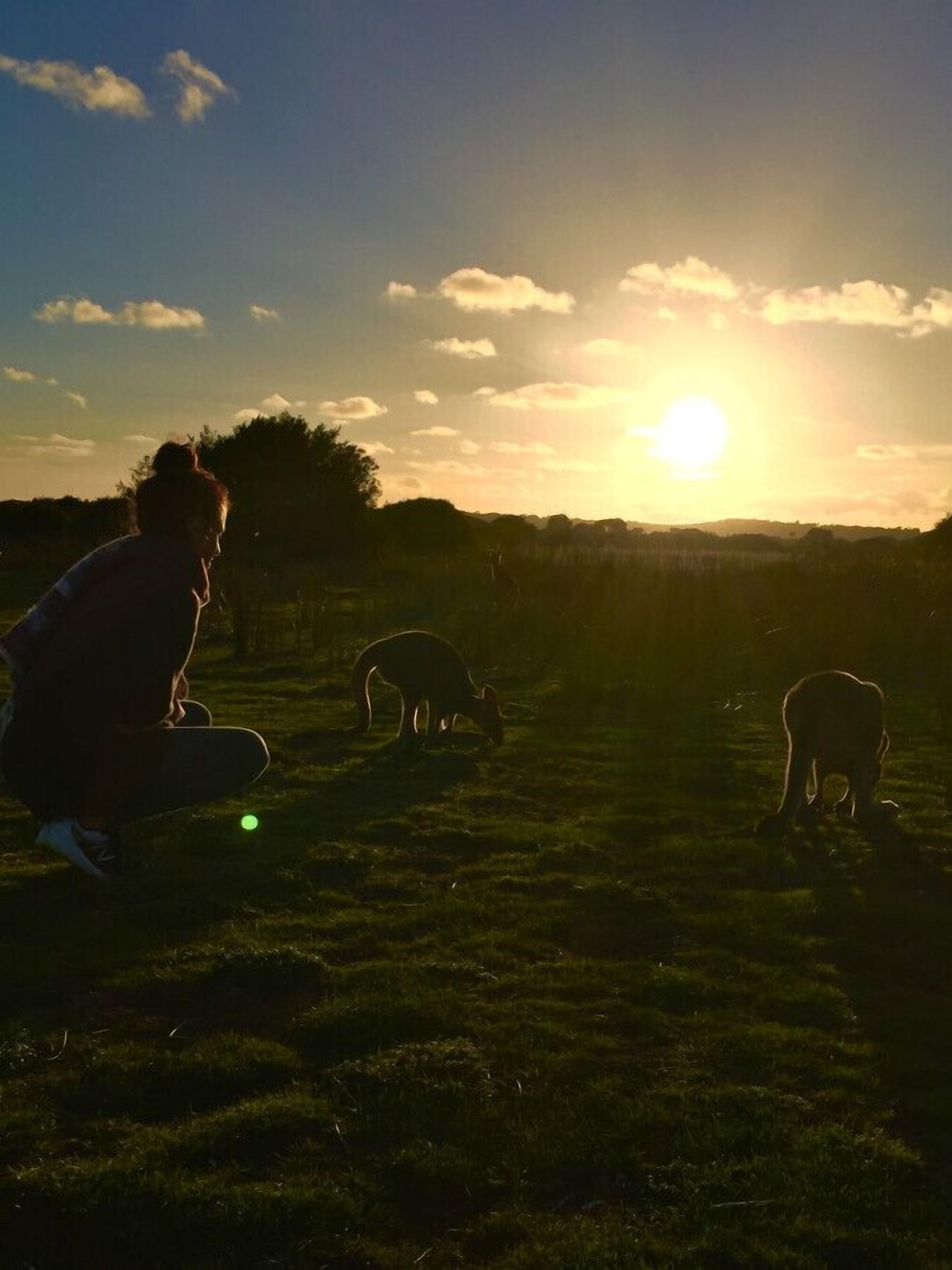 A person crouching in a grassy field with a sunset in the background.