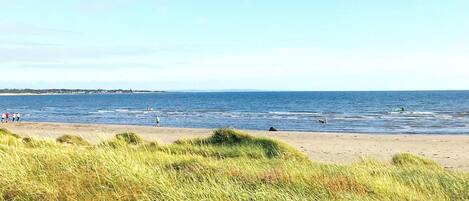 Una playa con dunas cubiertas de hierba y un cielo despejado.