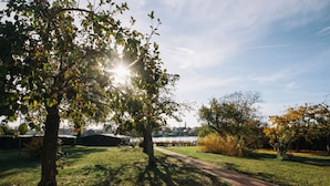 A park with a paved path, trees, and a distant view of a body of water and buildings.