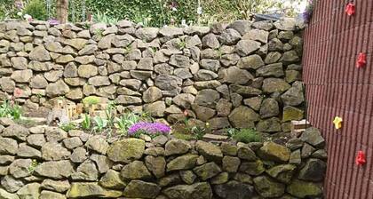 Rednak Modern Retreat