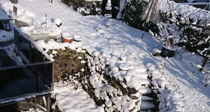 Rednak Modern Retreat