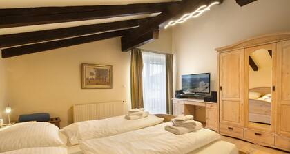 Apartment in Seefeld Near Rosshutte Ski Resort