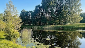 A calm pond surrounded by lush greenery and trees, reflecting the sky and vegetation. - 7 Person Holiday Home in Hogsby (Högsby)