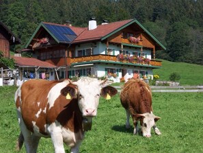 Exterior - Staufenblick Roof Studio in the House (Inzell)