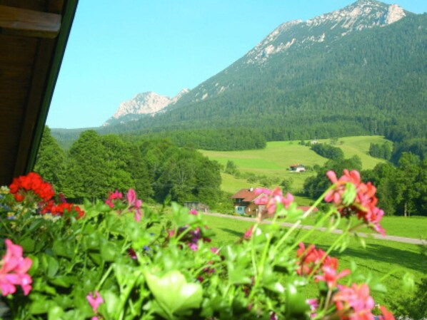 Property grounds - Staufenblick Roof Studio in the House (Inzell)