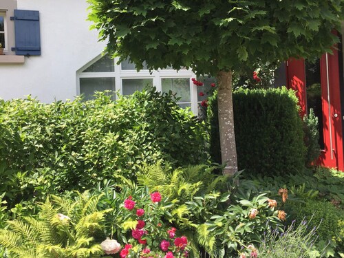 \"country House Dream\"