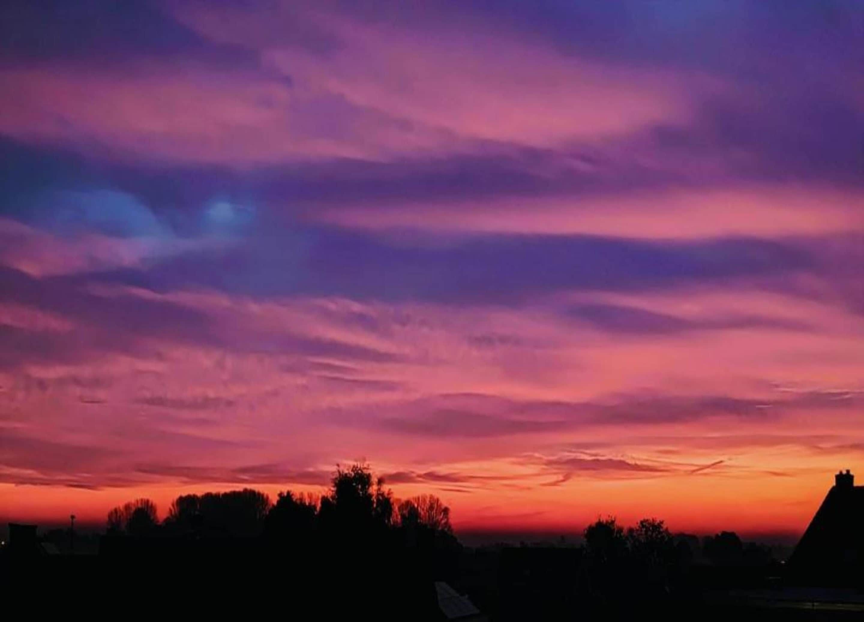 Un coucher de soleil avec un ciel aux teintes violettes et roses, se détachant sur la silhouette d’arbres et de bâtiments.