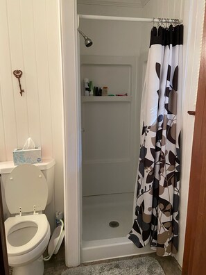 Regadera, toallas, jabón, papel de baño 