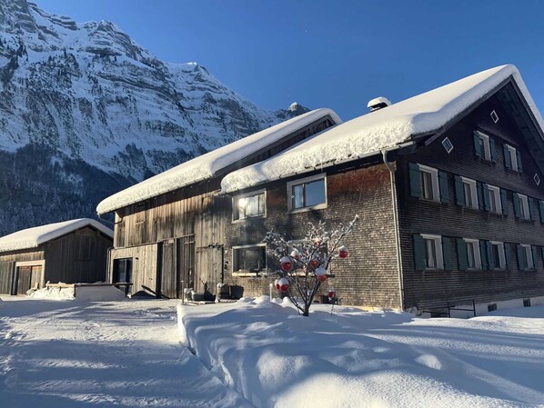 Apartment | Exterior - Holiday Home Geser Comfortable Vacation Home (Schnepfau)