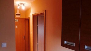 Un pasillo con puertas de madera, un accesorio de iluminación y un armario empotrado.