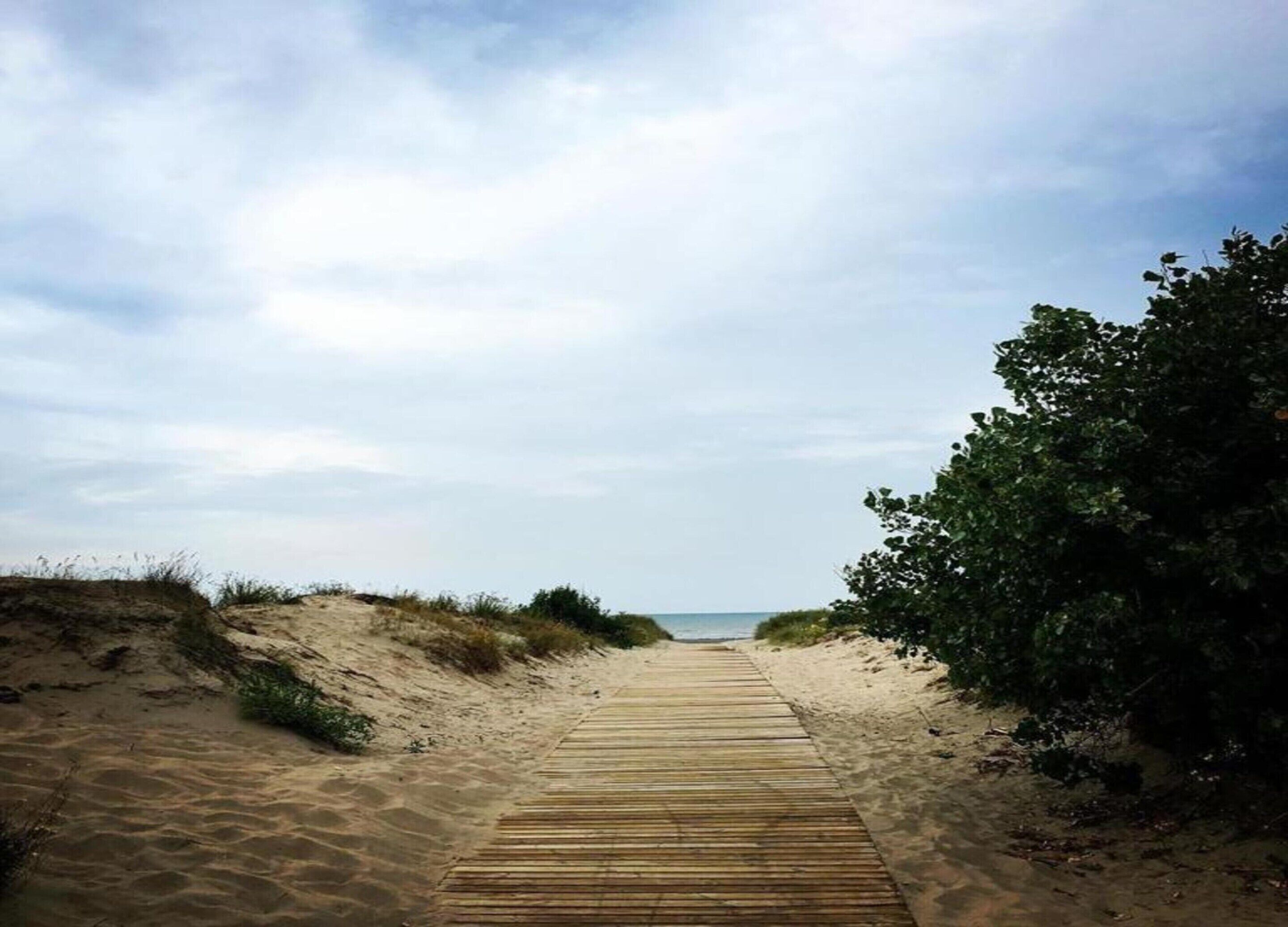 Un muelle de madera que conduce a una playa con dunas y un cielo nublado.