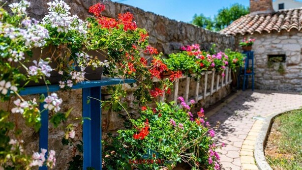 A stone wall with flowering plants and a pathway leading to a building with a tiled roof. - Andrea Comfortable Holiday Residence (Marcana)
