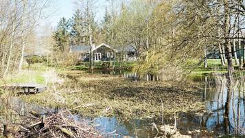 House | View from property