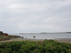 House | Beach