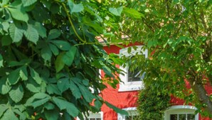 A red building with white windows and a tree in the foreground. - Holiday Apartment Sauer Large (Varel)