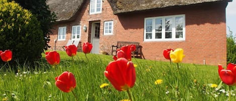 Departamento | Exterior