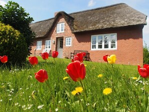 Leilighet | Eksteriør