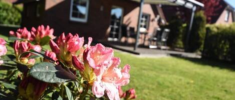 A house with a covered patio and a garden with pink flowers.